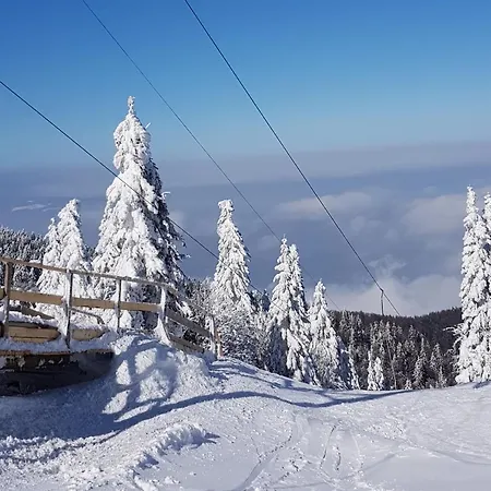 Apartment Chalet Snowflake - Happy Smartno pri Slovenj Gradcu