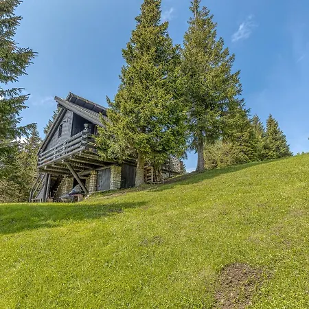 Chalet Snowflake - Happy Smartno pri Slovenj Gradcu